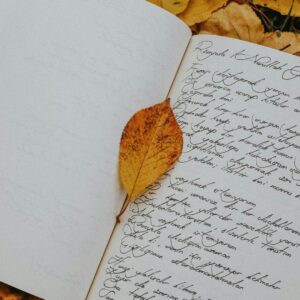 Handschriftlich beschriebenes Notizbuch mit einem gelben Herbstblatt